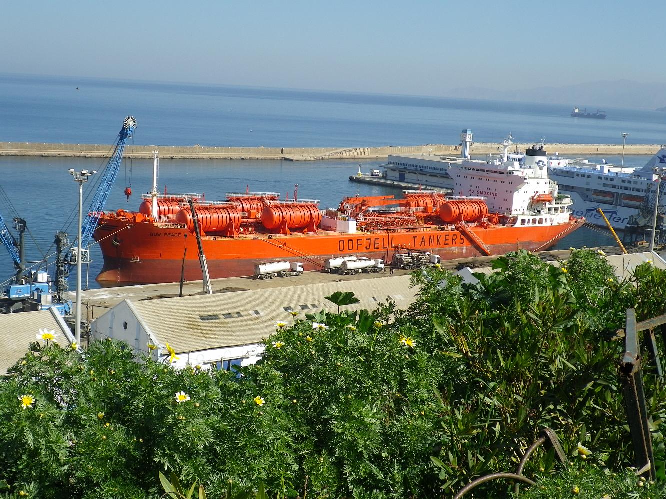 1579 le port d'oran .JPG